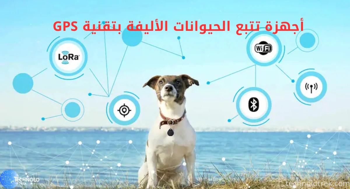 أجهزة تتبع الحيوانات الأليفة بتقنية GPS